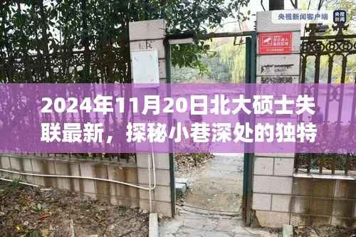 北大硕士失联背后的故事,探秘独特小店与小巷深处的秘密