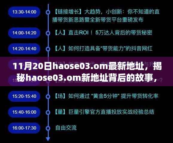 揭秘haose03.om新地址背后的故事,影响与地位回顾,最新地址揭晓(11月20日)