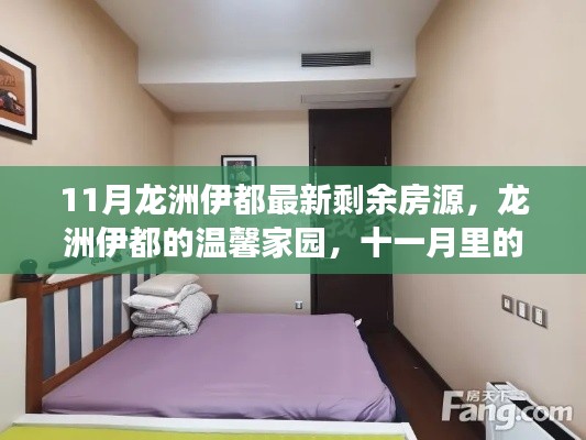 11月龙洲伊都最新剩余房源,龙洲伊都的温馨家园,十一月里的剩余房源与家的故事