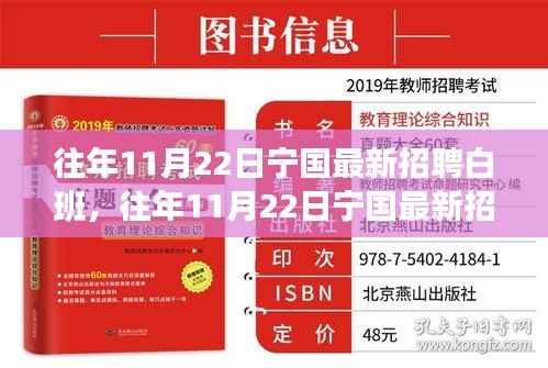 往年11月22日宁国最新招聘白班深度解析,特性、体验、对比与用户需求分析全解析