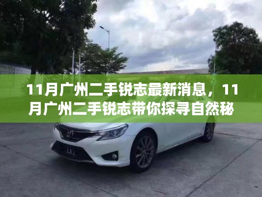 11月广州二手锐志最新动态,探寻自然秘境的心灵之旅启程