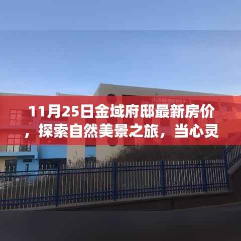 11月25日金域府邸最新房价揭秘,心灵遇见静谧港湾的自然美景之旅
