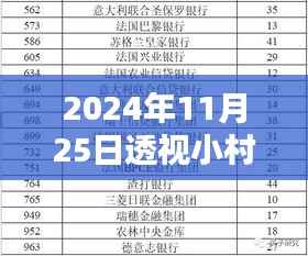 2024年11月25日透视小村民最新,探秘小村民新风尚,巷弄深处的隐藏瑰宝——2024年11月25日独家透视