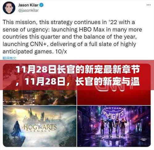 长官的新宠与温馨日常最新章节 11月28日