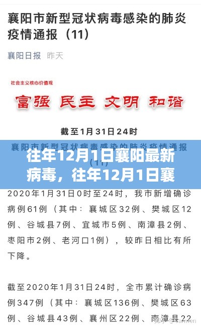 深度解析,往年12月襄阳病毒情报及应对策略揭秘
