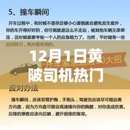 12月1日黄陂司机热门招聘信息汇总，行业分析与求职指南