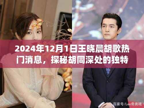 王晓晨胡歌探秘胡同美食,小巷中的秘密小店揭秘