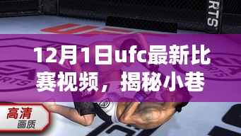 揭秘小巷深处的格斗盛宴,UFC最新比赛视频与特色小店的奇遇回顾 12月1日精彩对决瞬间