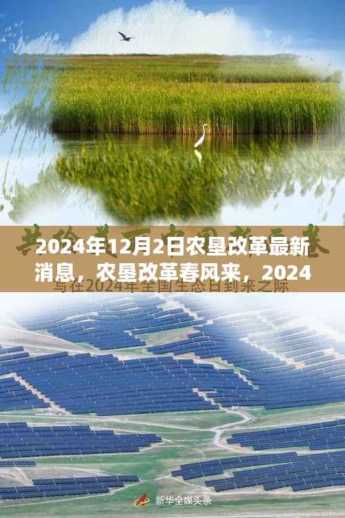 农垦改革最新动态,春风拂面,激发潜能与自信,展望2024年12月的新篇章