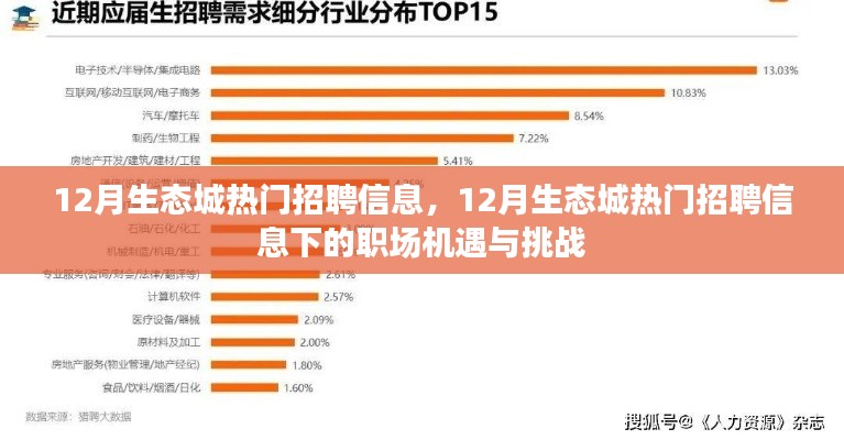 12月生态城热门招聘信息揭秘,职场机遇与挑战并存