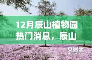 辰山植物园十二月惊喜，绿色秘境与特色小店的巷弄之旅