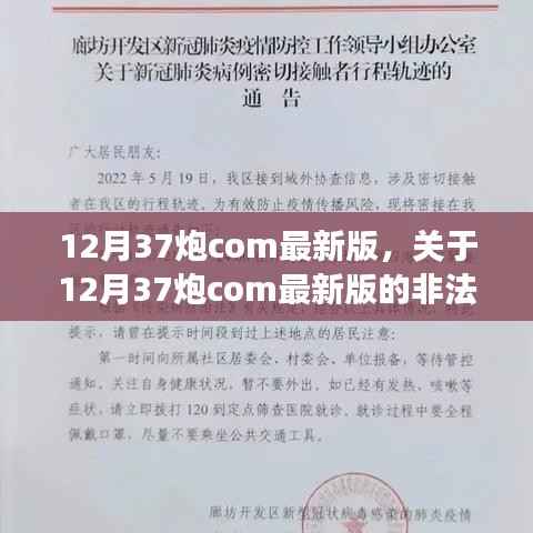 关于12月37炮com最新版的非法活动指南,警惕违法犯罪风险