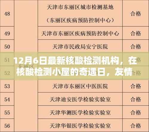 核酸检测小屋的奇遇日,友情与爱,暖心时光的交织