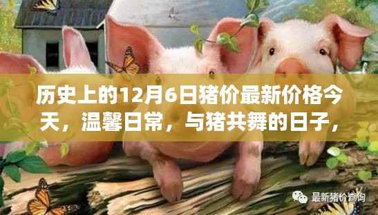 今日温馨日常,与猪共舞的日子——揭秘历史猪价背后的故事
