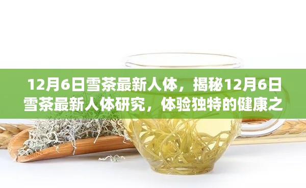 揭秘雪茶新人体研究,体验独特健康之旅在12月6日开启