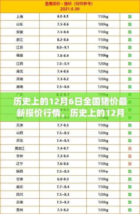 历史上的12月6日全国猪价最新报价行情与市场深度分析