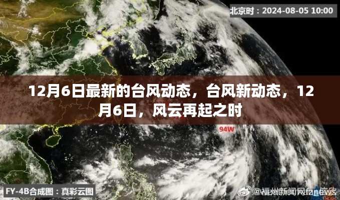 12月6日台风最新动态,风云再起之际