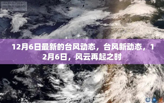 12月6日台风最新动态,风云再起之际