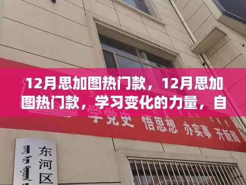 12月思加图热门款，12月思加图热门款，学习变化的力量，自信与成就感的时尚之旅