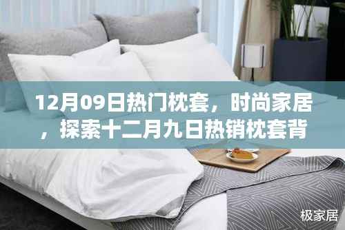 12月09日热门枕套,时尚家居,探索十二月九日热销枕套背后的秘密