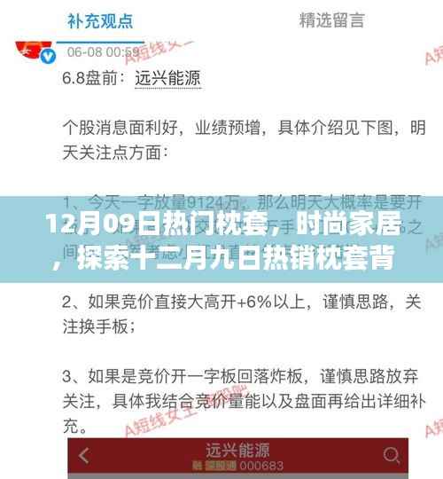 12月09日热门枕套,时尚家居,探索十二月九日热销枕套背后的秘密