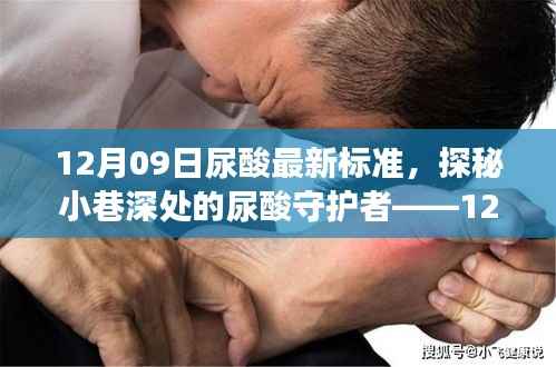 探秘特色小店之旅,揭秘最新尿酸标准与小巷深处的尿酸守护者——12月09日最新解读纪实