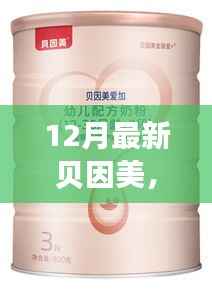 揭秘贝因美巷弄秘境，十二月特色小店探索之旅