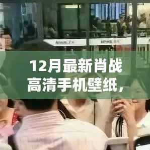 肖战暖心日常高清壁纸,手机屏幕上的友情与爱,12月最新肖战壁纸分享