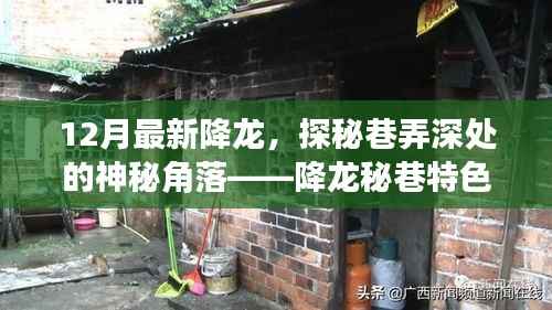 张张屈屈 第3页