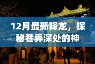 探秘降龙秘巷,巷弄深处的神秘小店,十二月最新揭秘