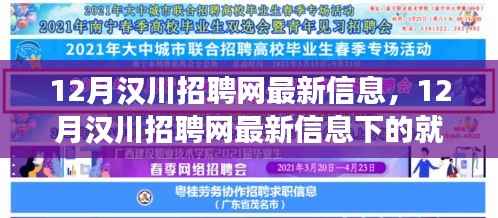 12月汉川招聘网最新信息解析,就业市场深度探讨
