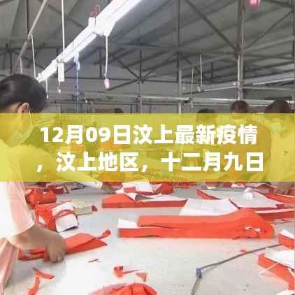 汶上地区12月9日疫情最新动态与影响回顾