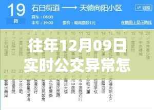 揭秘历年12月09日实时公交异常背后的真相,原因令人意想不到!