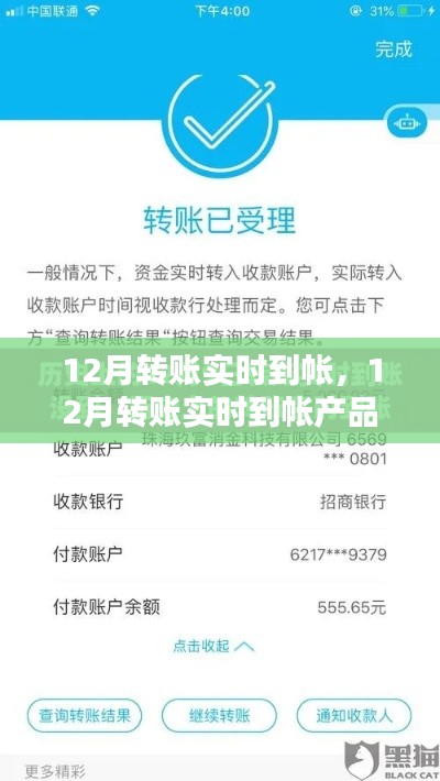 深度评测与介绍,12月转账实时到账产品