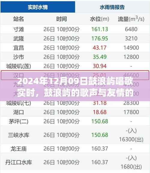 鼓浪屿歌声与友情的交织,2024年12月9日的日常故事实时分享