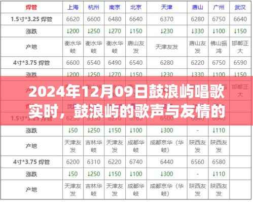 鼓浪屿歌声与友情的交织,2024年12月9日的日常故事实时分享