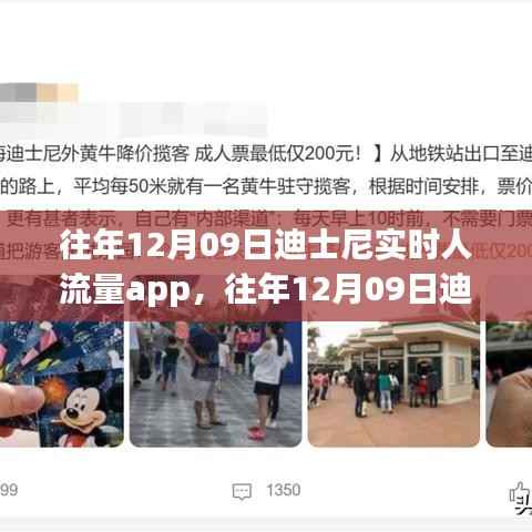 飞扬跋扈 第2页