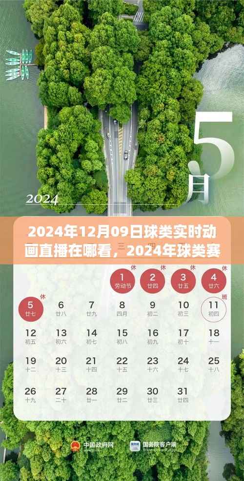 2024年球类赛事实时动画直播观看指南,轻松掌握观看流程