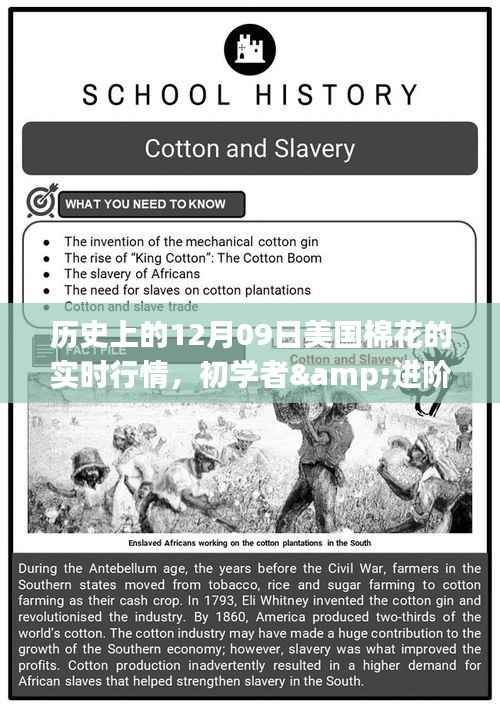 贵不期骄 第2页