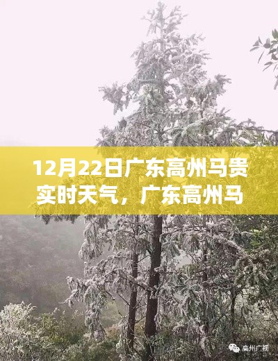 广东高州马贵镇的温馨冬日,趣事与友情的交织,实时天气播报