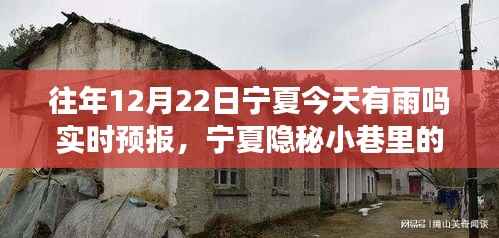 宁夏隐秘小巷诗意小店,雨中之韵与味蕾奇遇的探寻实时预报