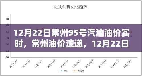 常州油价速递,12月22日95号汽油实时油价解析