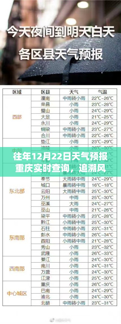 望其项背 第3页