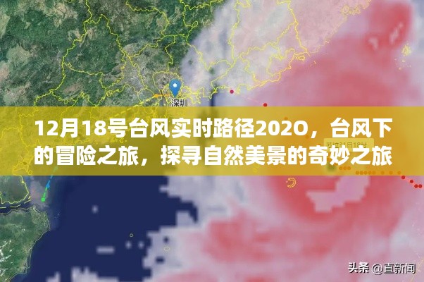 台风下的冒险之旅,探寻自然美景的奇妙之旅(实时路径更新)