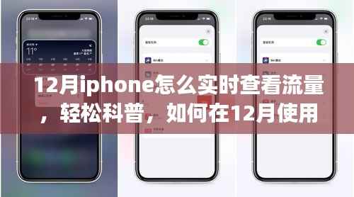 iPhone实时查看流量消耗,轻松科普指南