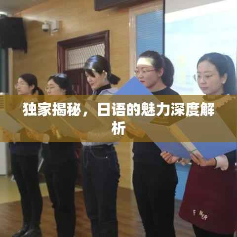 独家揭秘,日语的魅力深度解析