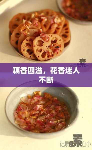 藕香四溢,花香迷人不断