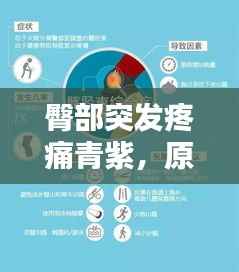 臀部突发疼痛青紫,原因解析、应急处理与预防策略