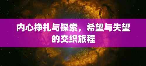 内心挣扎与探索,希望与失望的交织旅程
