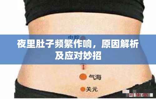 夜里肚子频繁作响,原因解析及应对妙招